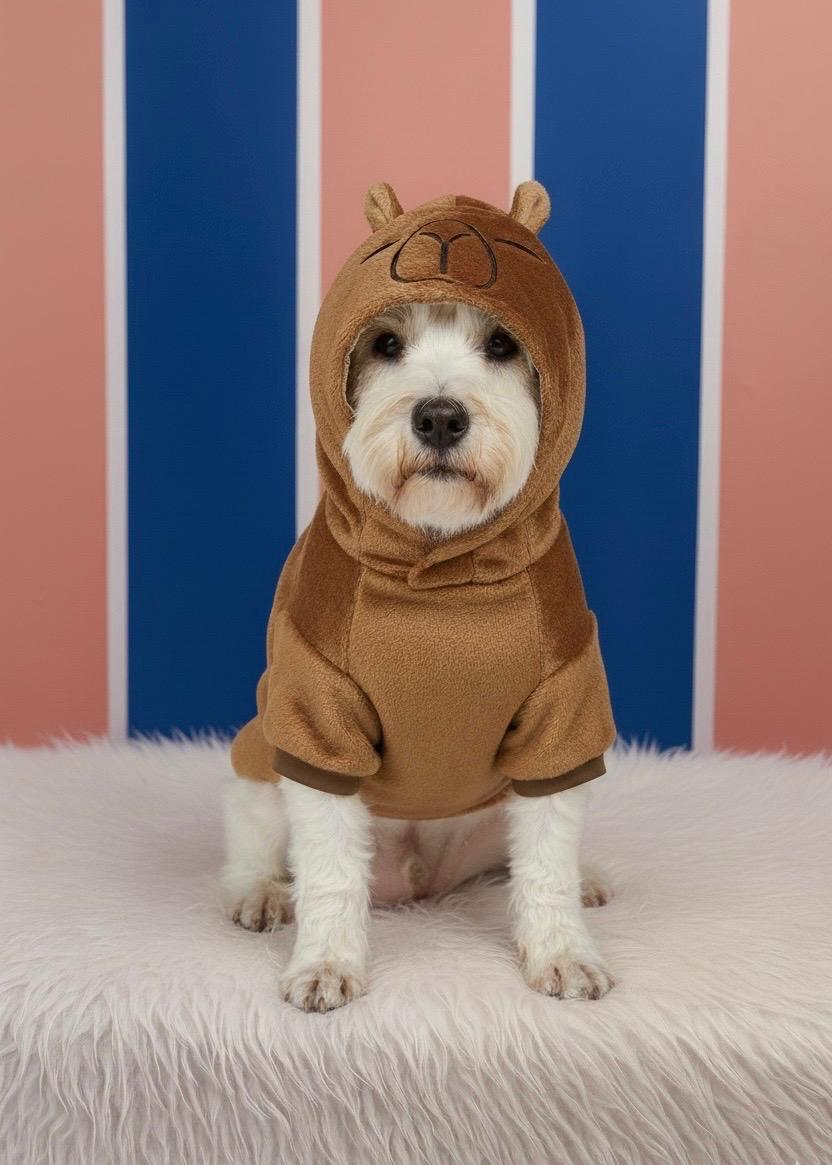 MASCOTA | PERSONAJES